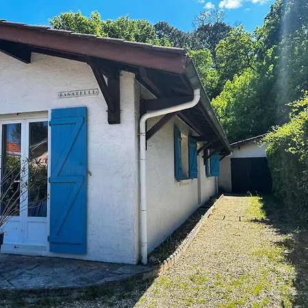 Villa 420-arcachon - Charmante Maison Dans Le Quartier D'hiver Mae-9394 *