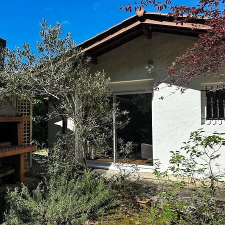 Villa 420-arcachon - Charmante Maison Dans Le Quartier D'hiver Mae-9394