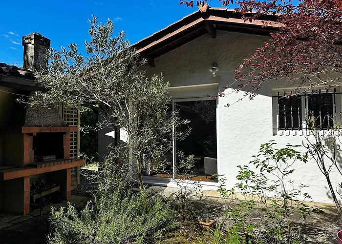 Villa 420-arcachon - Charmante Maison Dans Le Quartier D'hiver Mae-9394